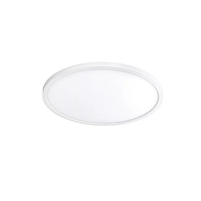 Simple Circle Dimmable LED Flush Mount Light