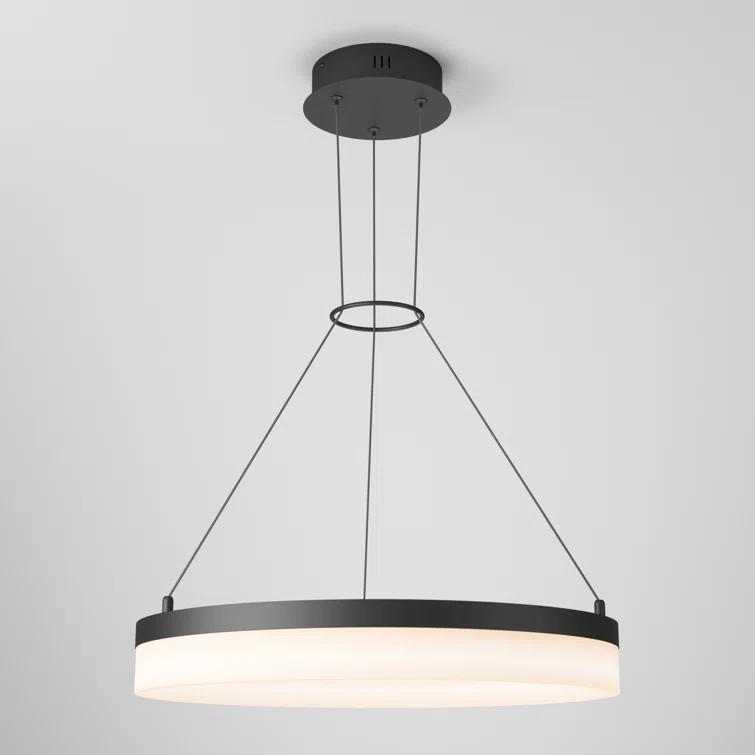 1 - Light LED Unique/Statement Pendant