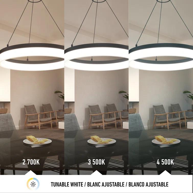 1 - Light LED Unique/Statement Pendant