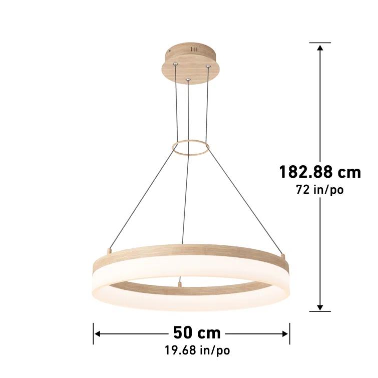 1 - Light LED Unique/Statement Pendant