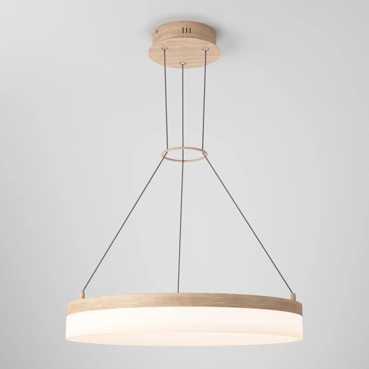 1 - Light LED Unique/Statement Pendant