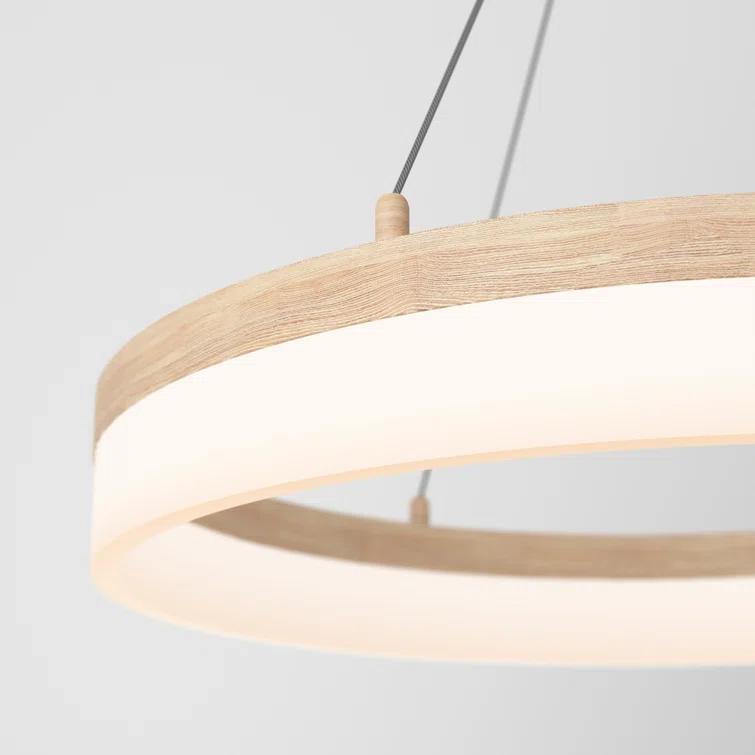 1 - Light LED Unique/Statement Pendant