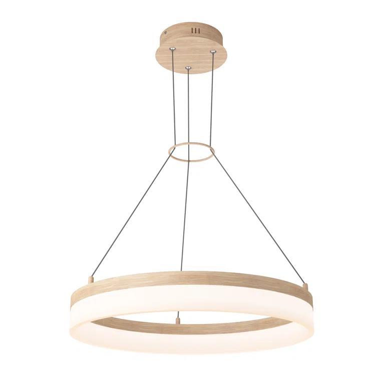 1 - Light LED Unique/Statement Pendant
