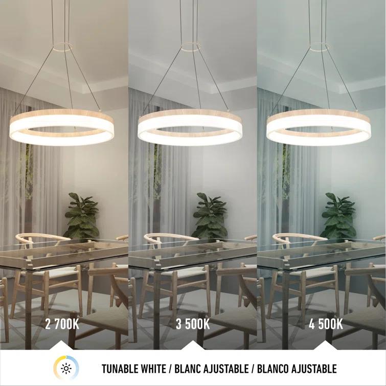 1 - Light LED Unique/Statement Pendant