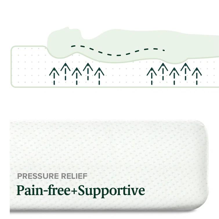 Zinus Zinus Medium Firm Green Tea Memory Foam Mattress