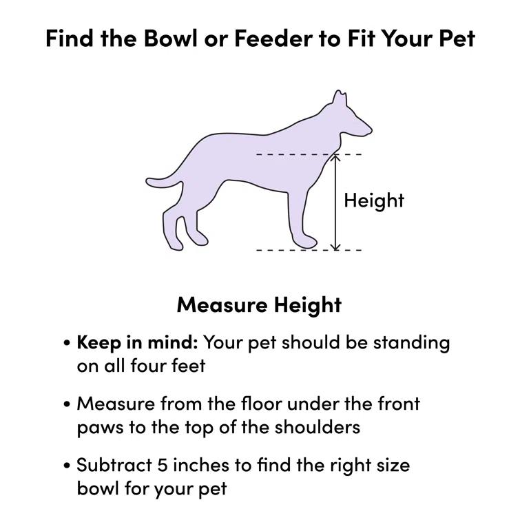 Iconic Pet Anti-Skid Slow Feeder (Set of 2)