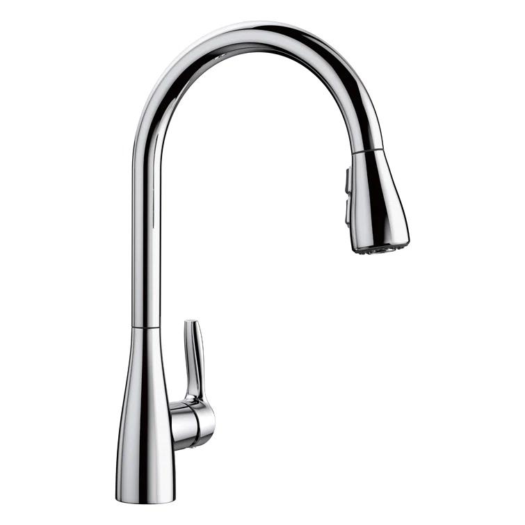Atura Pull Down Dual Spray Kitchen Faucet