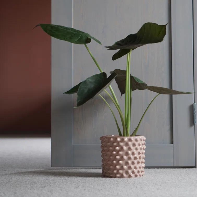 Cloudy Ceramic Pot Planter