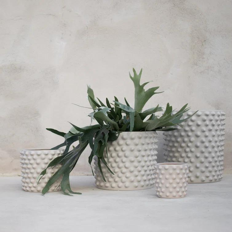 Cloudy Ceramic Pot Planter