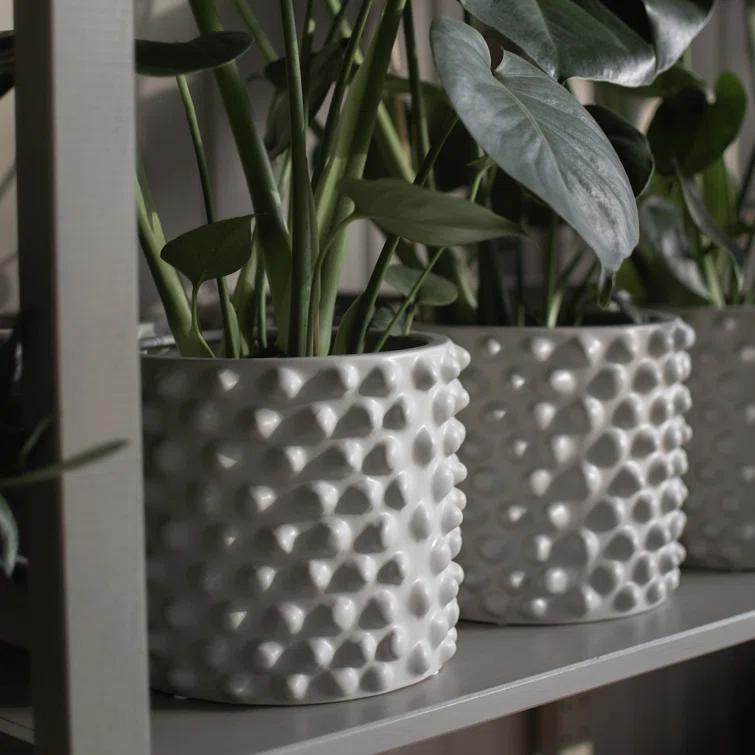 Cloudy Ceramic Pot Planter