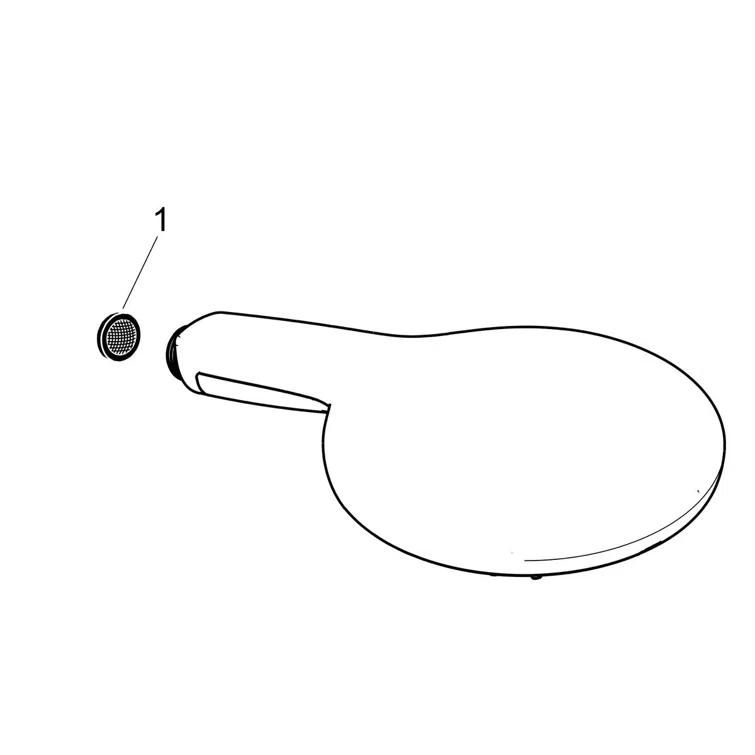 Raindance Handheld Shower Head