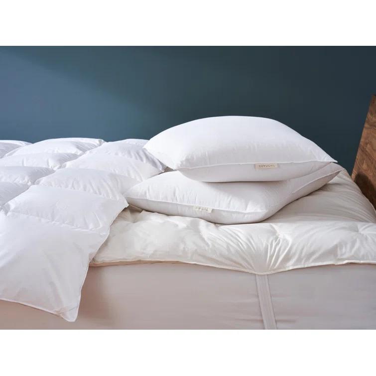 Coyuchi Dunlop Latex Medium Pillow