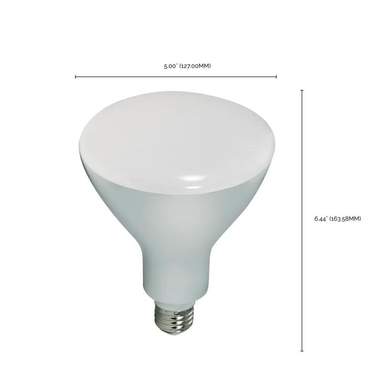 75 Watt Equivalent BR40 E26/Medium (Standard) Dimmable LED Bulb