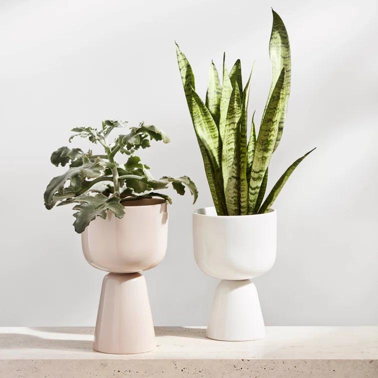 Juba Ceramic Urn Planter