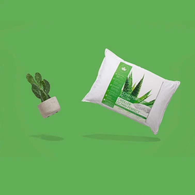 Canadian Down & Feather Company Pillow