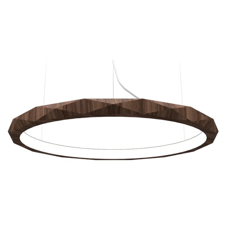 1 - Light LED Unique/Statement Pendant