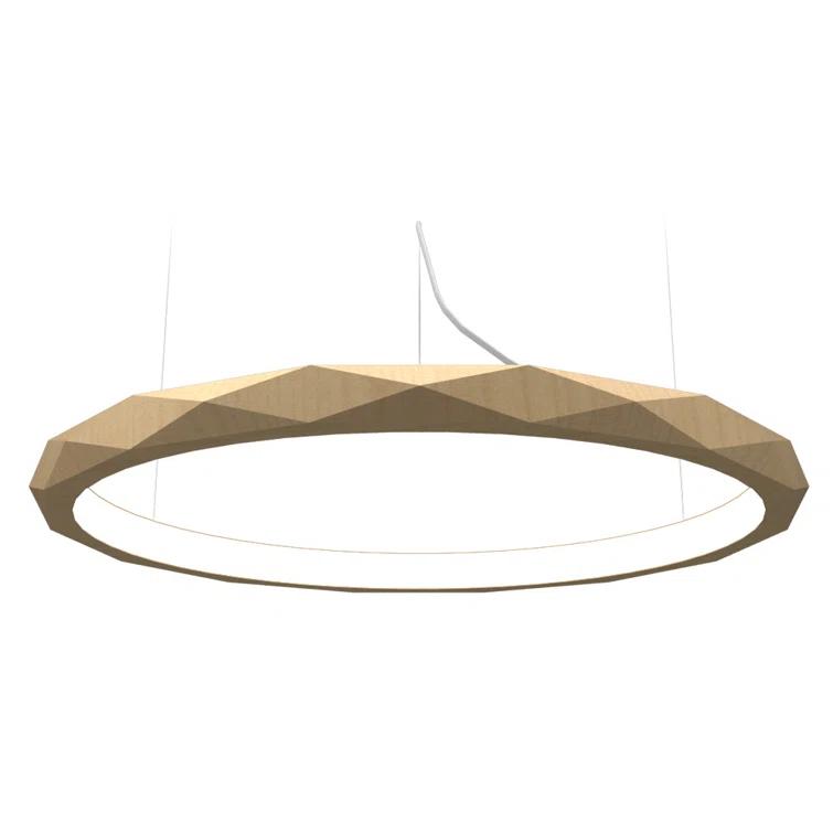 1 - Light LED Unique/Statement Pendant
