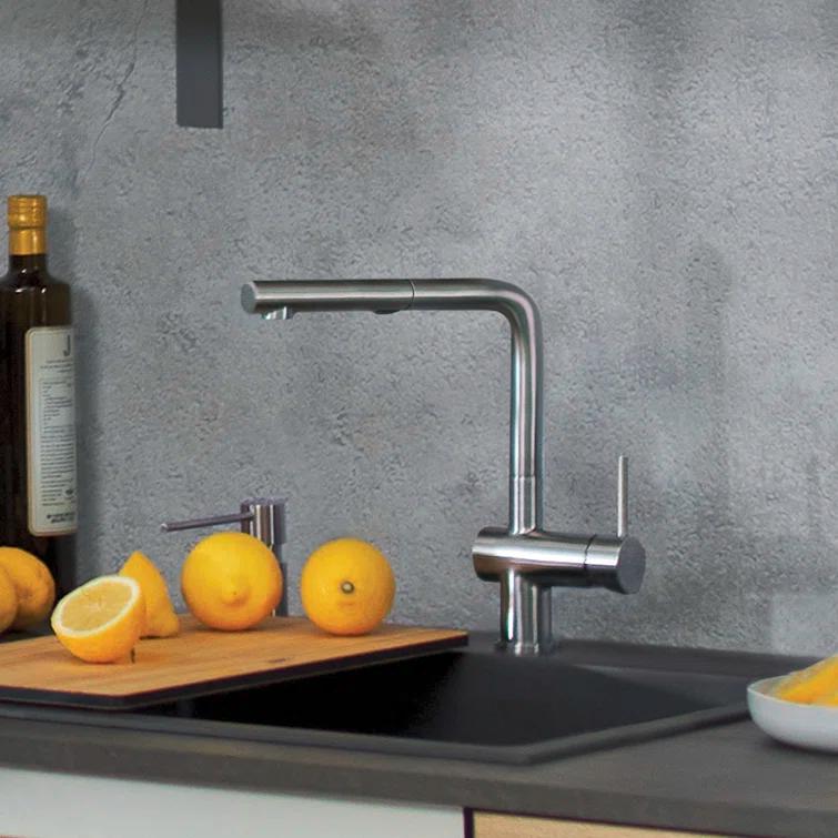 Linus Pull Out Dual Spray Kitchen Faucet