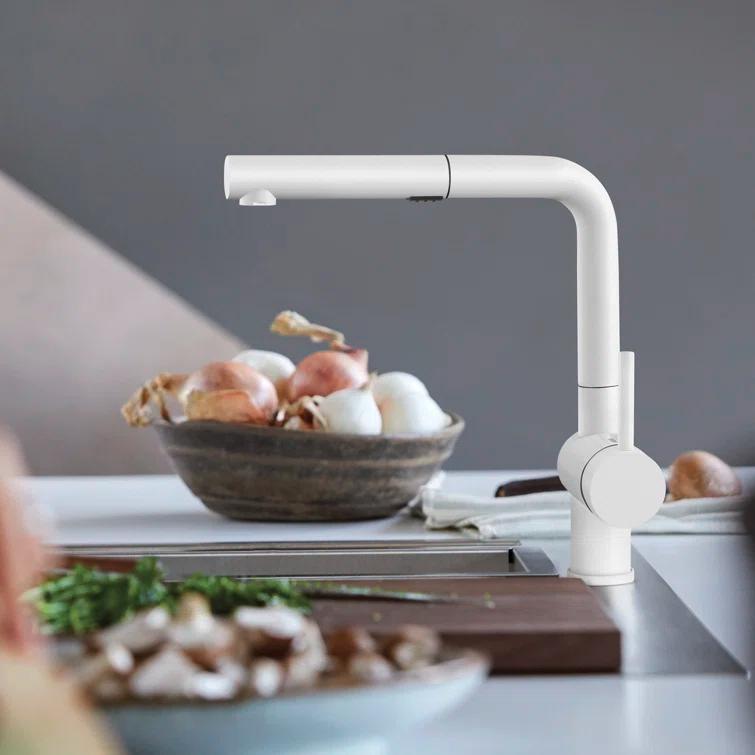 Linus Pull Out Dual Spray Kitchen Faucet