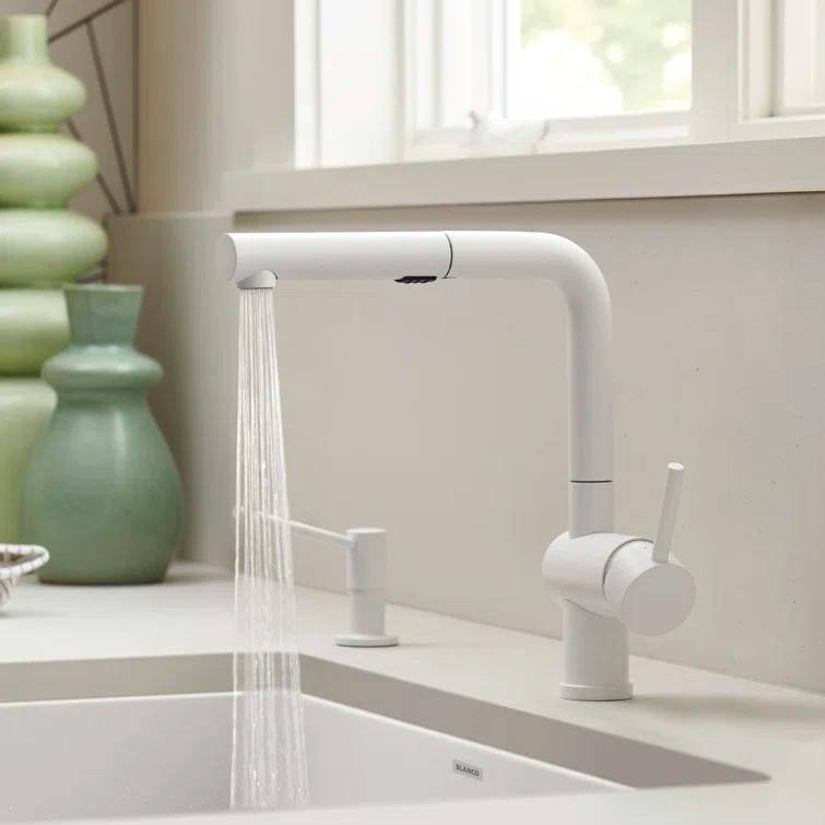 Linus Pull Out Dual Spray Kitchen Faucet