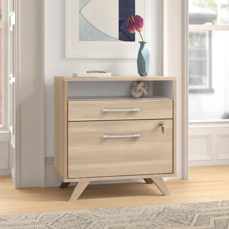 Boneita 29'' Wide 2 -Drawer File Cabinet