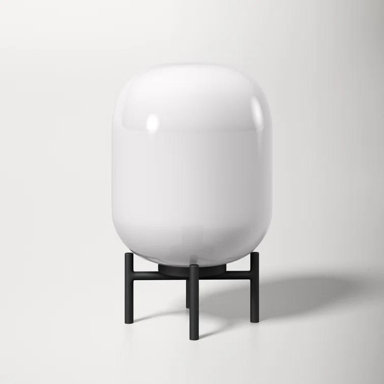 Danae Metal Novelty Lamp