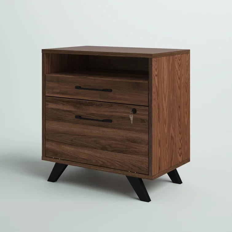 Boneita 29'' Wide 2 -Drawer File Cabinet