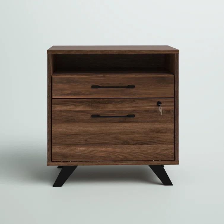 Boneita 29'' Wide 2 -Drawer File Cabinet