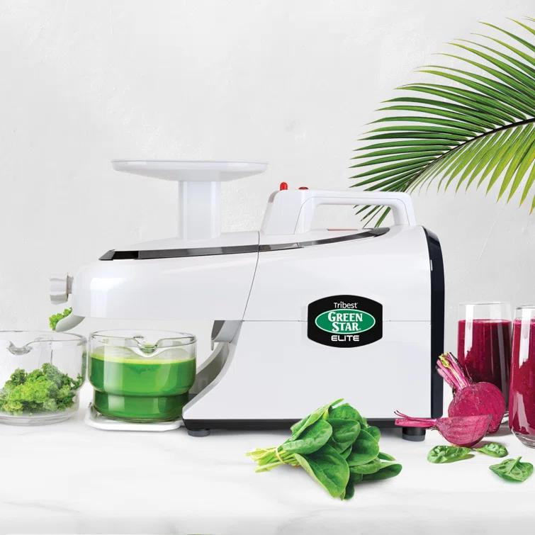 Tribest Greenstar Elite Jumbo Twin Gear Slow Masticating Juicer – White