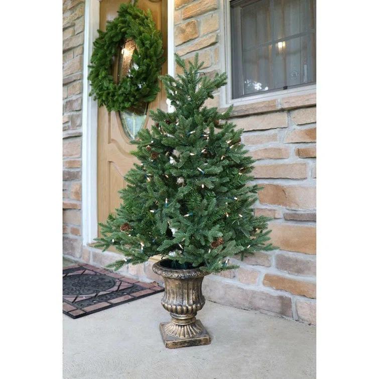 Carmel Pine 4' Lighted Fir Christmas Tree (Set of 2)
