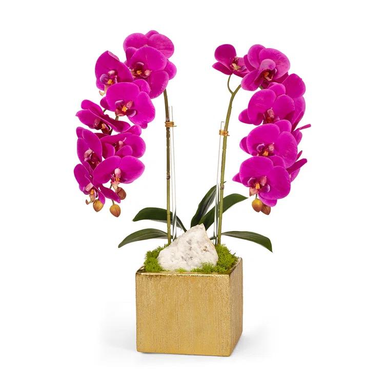 T&C Floral Company Orchid Arrangement in Planter