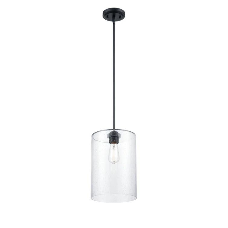 1 - Light Unique/Statement Pendant