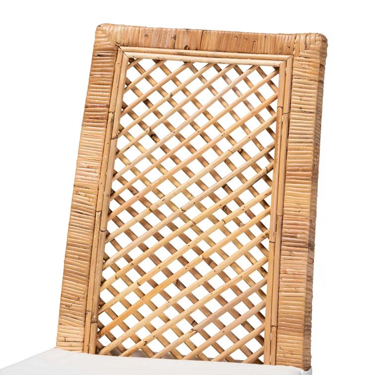 Bayou Breeze Argos Modern Bohemian Rattan Dining Chair (Set of 2)