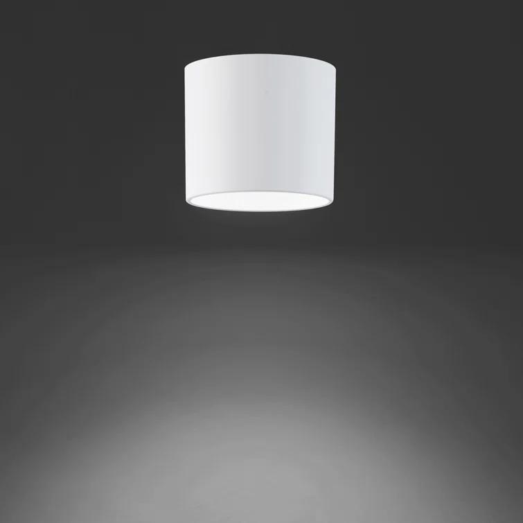 Squat LED Cylinder Outdoor Flush Mount