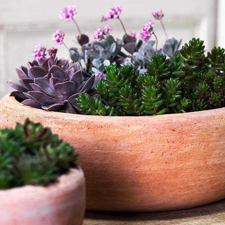 Annalise Planter (Set of 2) by Campania International