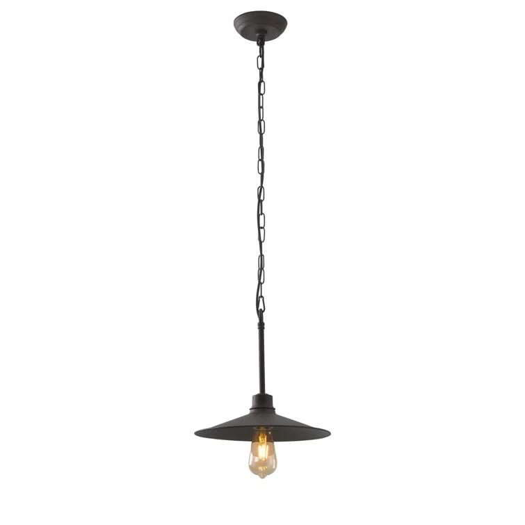 Varaluz 1 - Light Single Pendant