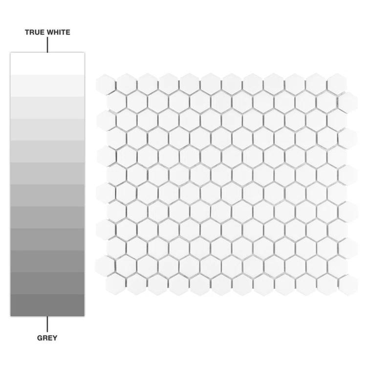 Hudson 1" Hex 11-7/8 " x 13-1/4 " Porcelain Mosaic Floor and Wall Tile