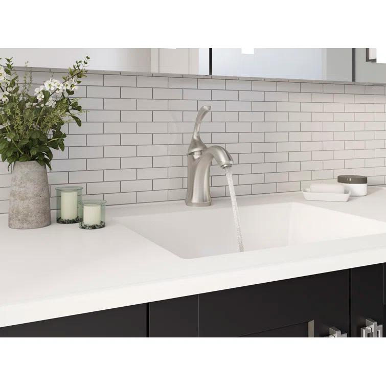 Forté Single-Handle Bathroom Sink Faucet with Drain Assembly and Escutcheon Plate, 1.2 GPM