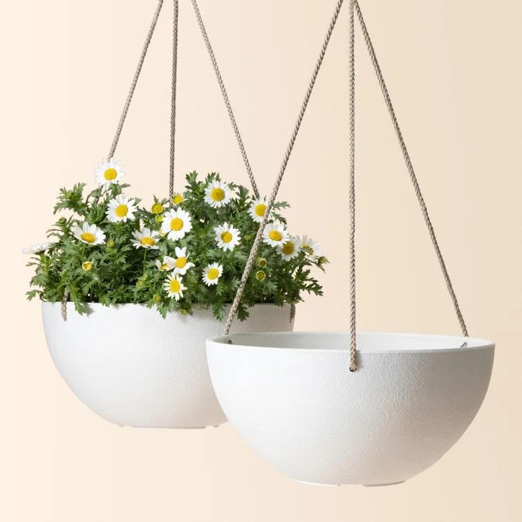 Boxdale Hanging Planter - Set of 2 (Set of 2)