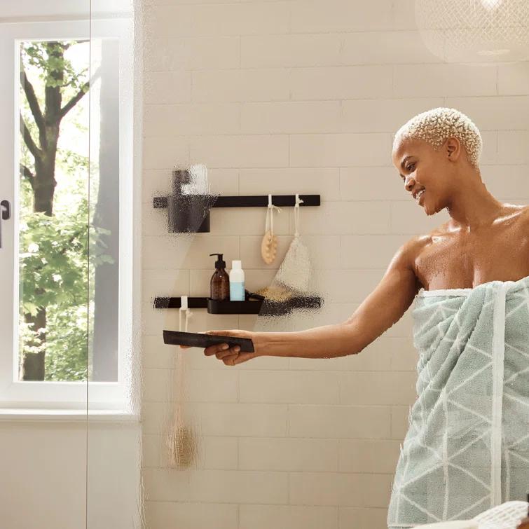 WallStoris hansgrohe Squeege