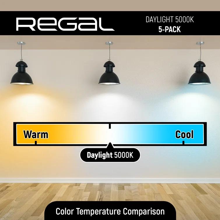 60 Watt Equivalent A19 E26/Medium (Standard) 5000K LED Bulb