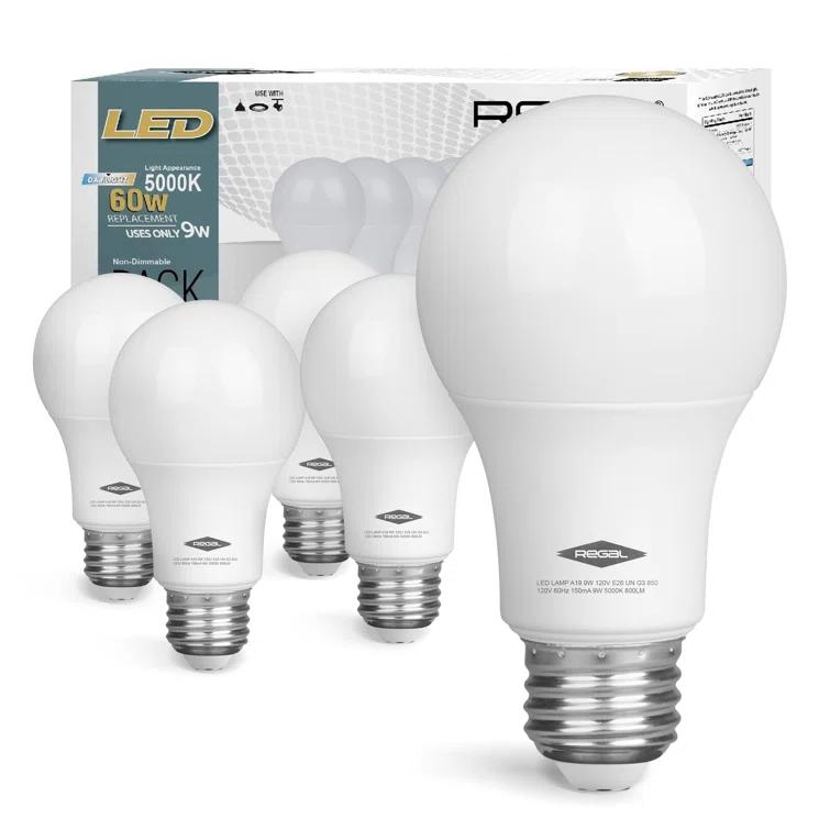 60 Watt Equivalent A19 E26/Medium (Standard) 5000K LED Bulb