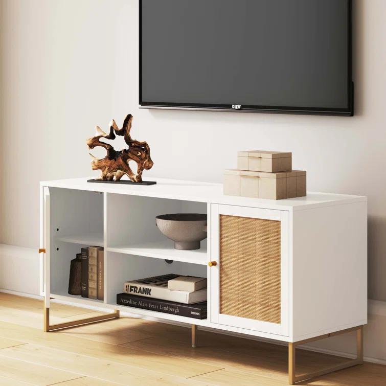 Mina TV Stand for TVs up to 55"