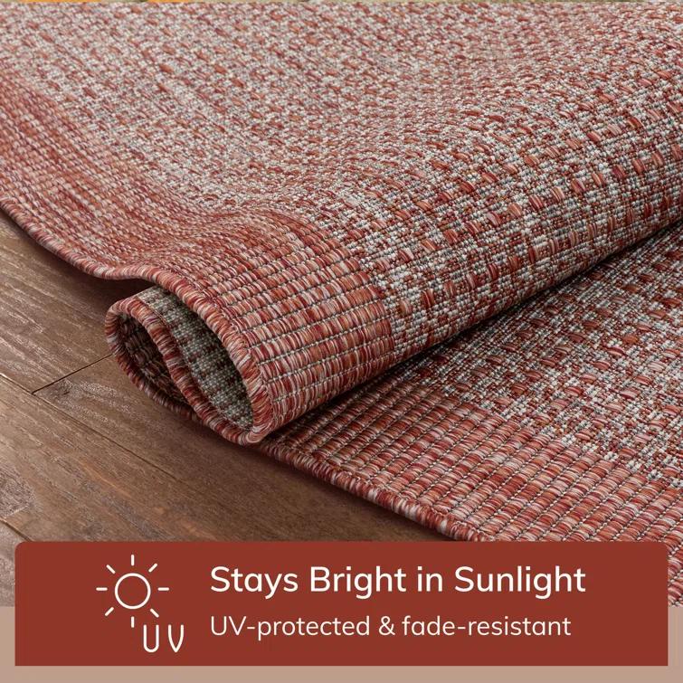 Marshanna Odin Solid Striped Border Indoor Outdoor Coral Flatweave Rug