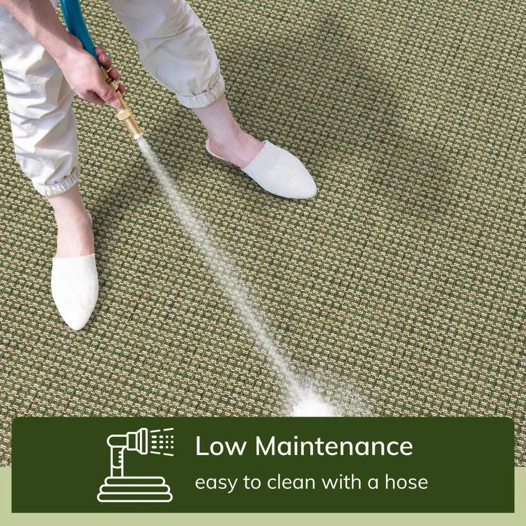 Marshanna Odin Solid Striped Border Indoor Outdoor Green Flatweave Rug