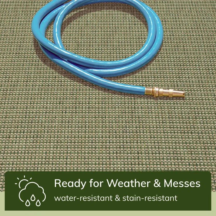 Marshanna Odin Solid Striped Border Indoor Outdoor Green Flatweave Rug