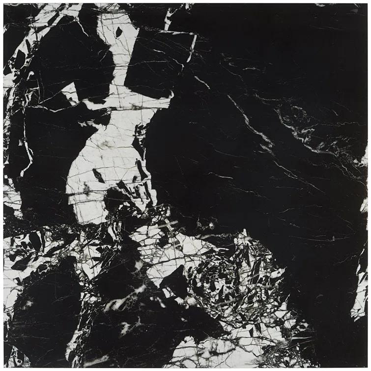 Kasama 29.13 in. x 29.13 in. Polished Porcelain Marble Look Floor and Wall Tile (11.78Sq. Ft. /Case)