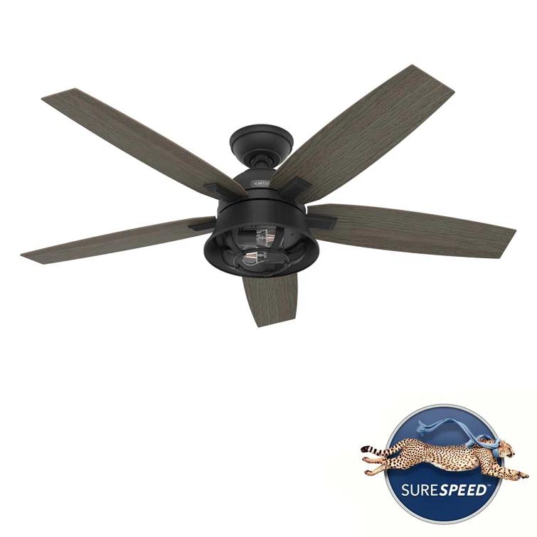 52" Hampshire 5 - Blade Ceiling Fan With LED Light Kit And Handheld Remote