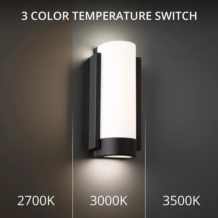 Blake Iron LED Flush Mounted Sconce