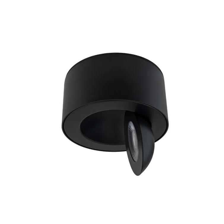 Peek LED Flush Mount